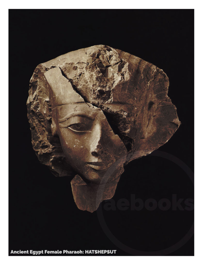 Hatshepsut The Pharaoh Ancient Egyptian Books